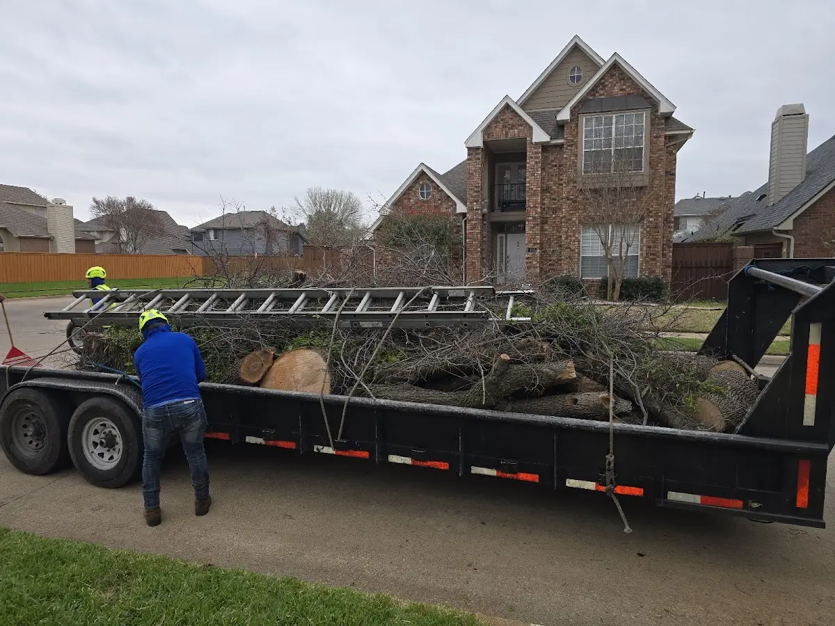 Expert Tree Fertilization with proper safety equipment in Soda Springs